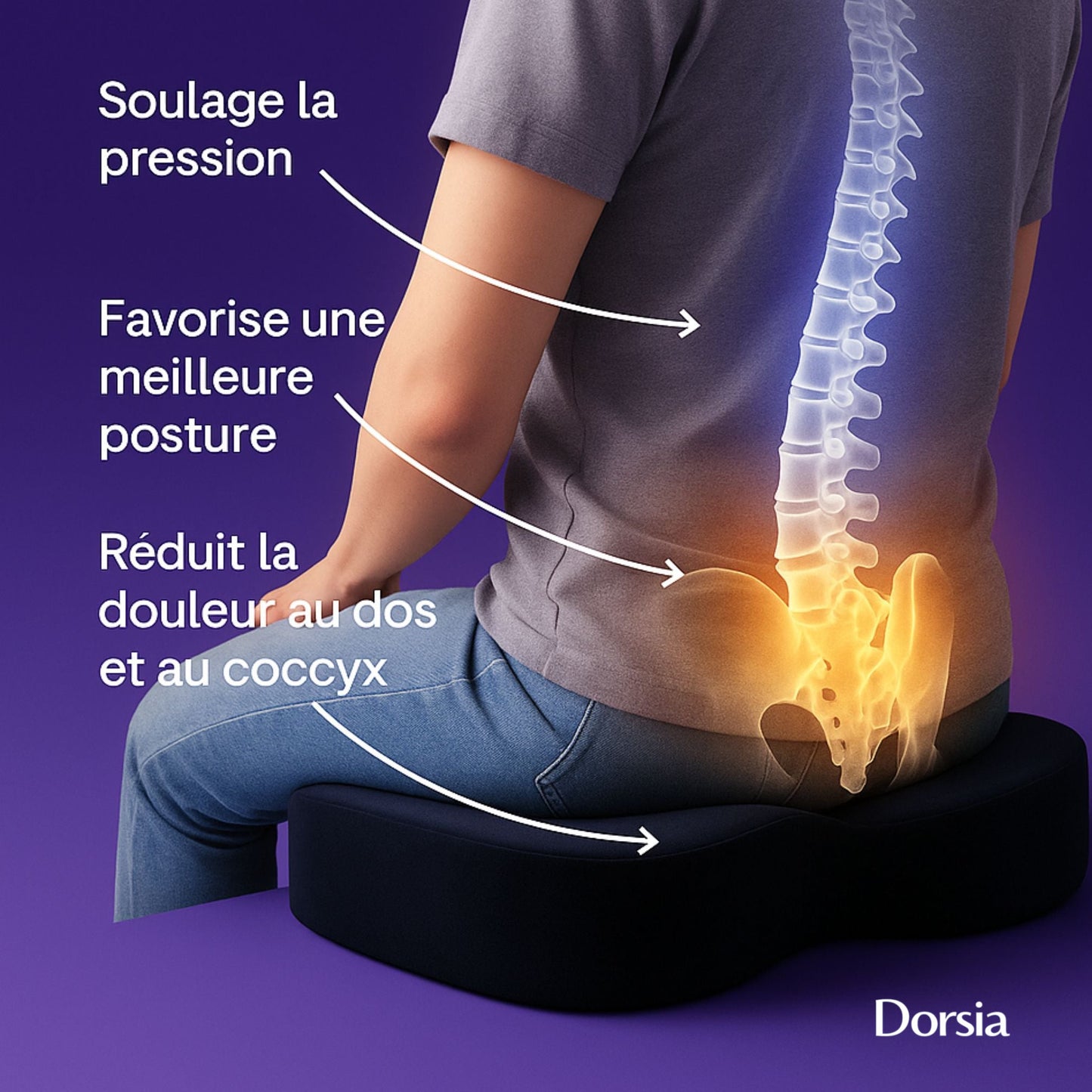 Posturia™ – Coussin Lombaire Orthopédique – Support de Dos Ergonomique & Soulagement des Douleurs